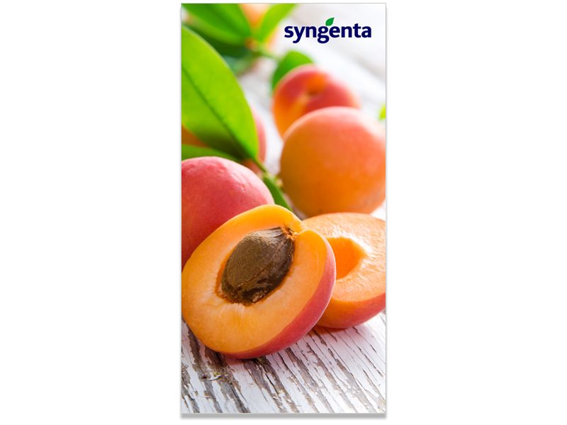 Syngenta Internal Branding 18x36 4.jpg